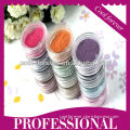 2013 newest 12 colours nail art Velvet powder decoration kit nail art